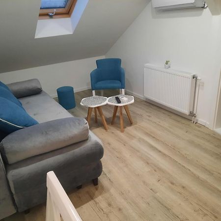 Apartman Mn Vrnjačka Banja Rom bilde